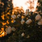 Market Update | Q1 2025 Recapped